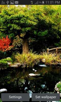 Emulate Android APK Jungle Pond Live Wallpaper Emulate Android APK Jungle Pond Live Wallpaper