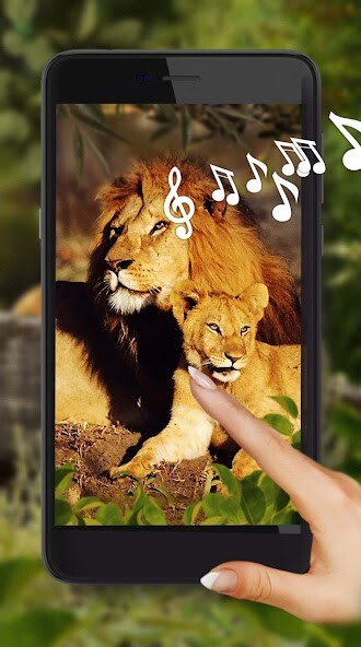 Run android online APK Jungles Predators from MyAndroid or emulate Jungles Predators using MyAndroid Run android online APK Jungles Predators from MyAndroid or emulate Jungles Predators using MyAndroid