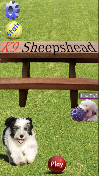 Emulate iPhone app K9 Sheepshead: Schafkopf Cards using MyAndroid Emulate iPhone app K9 Sheepshead: Schafkopf Cards using MyAndroid