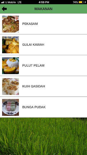 Run android online APK KedahMai from MyAndroid or emulate KedahMai using MyAndroid