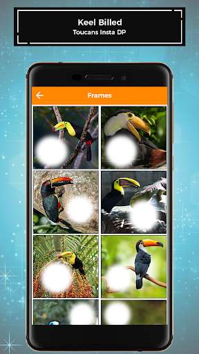 Run android online APK Keel Billed Toucans Insta DP from MyAndroid or emulate Keel Billed Toucans Insta DP using MyAndroid