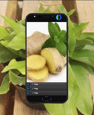 Run android online APK kencur cultivation from MyAndroid or emulate kencur cultivation using MyAndroid