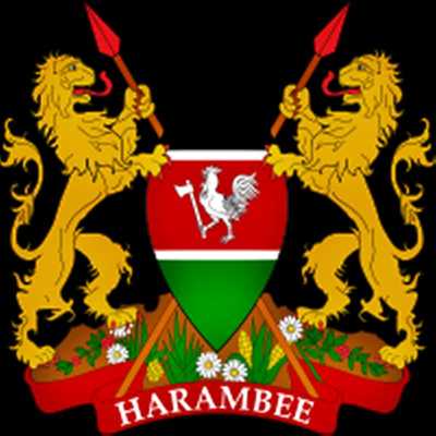 Emulate Android APK Kenya : President U.Kenyatta Emulate Android APK Kenya : President U.Kenyatta