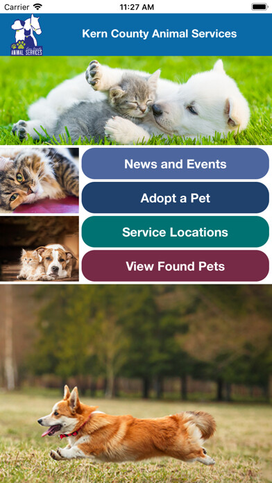 Emulate iPhone app Kern County Animal Services using MyAndroid Emulate iPhone app Kern County Animal Services using MyAndroid