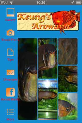 Emulate Android APK Keungs Arowana