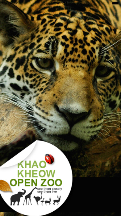 Emulate iPhone app Khao Kheow Open Zoo using MyAndroid Emulate iPhone app Khao Kheow Open Zoo using MyAndroid