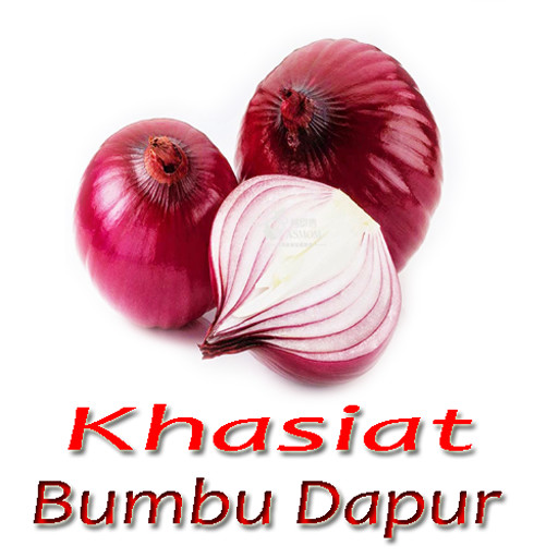Emulate Android APK Khasiat Alami Bumbu Dapur