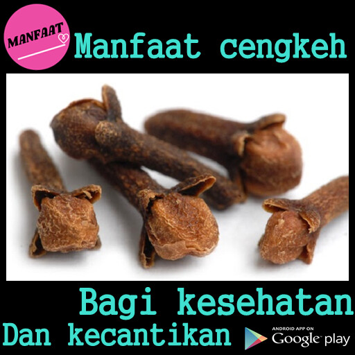 Run android online APK Khasiat Cengkeh from MyAndroid or emulate Khasiat Cengkeh using MyAndroid Run android online APK Khasiat Cengkeh from MyAndroid or emulate Khasiat Cengkeh using MyAndroid