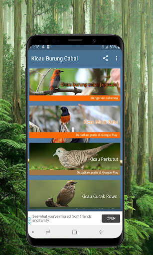 Run android online APK Kicau Burung Cabai Kemade - Offline from MyAndroid or emulate Kicau Burung Cabai Kemade - Offline using MyAndroid