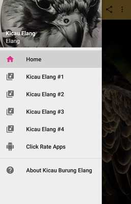 Emulate Android APK Kicau Burung Elang Pikat Emulate Android APK Kicau Burung Elang Pikat