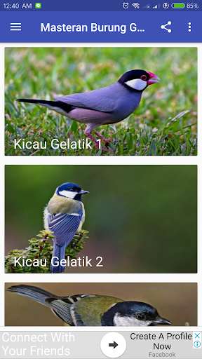 Emulate Android APK Kicau Burung Gelatik