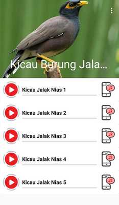 Emulate Android APK Kicau Burung Jalak Nias