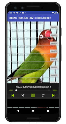 Run android online APK KICAU BURUNG LOVEBIRD NGEKEK from MyAndroid or emulate KICAU BURUNG LOVEBIRD NGEKEK using MyAndroid Run android online APK KICAU BURUNG LOVEBIRD NGEKEK from MyAndroid or emulate KICAU BURUNG LOVEBIRD NGEKEK using MyAndroid