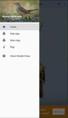 Emulate Android APK Kicau Burung Nightingale Emulate Android APK Kicau Burung Nightingale