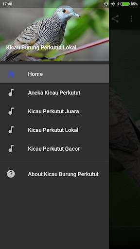 Run android online APK Kicau Burung Perkutut Lokal Gacor from MyAndroid or emulate Kicau Burung Perkutut Lokal Gacor using MyAndroid