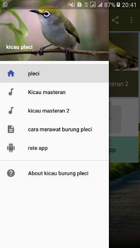 Emulate Android APK Kicau Burung Pleci Emulate Android APK Kicau Burung Pleci