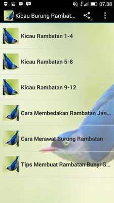 Emulate Android APK Kicau Burung Rambatan Emulate Android APK Kicau Burung Rambatan