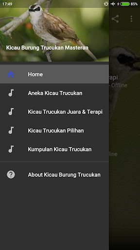 Emulate Android APK Kicau Burung Trucukan Masteran