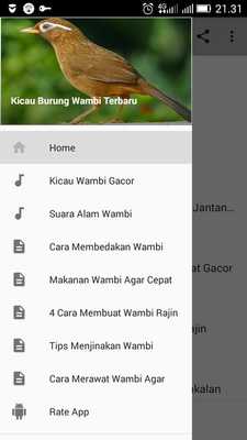 Emulate Android APK Kicau Burung Wambi Emulate Android APK Kicau Burung Wambi