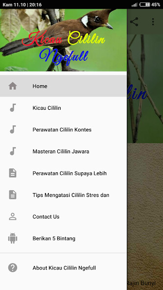 Run android online APK Kicau Cililin Ngefull OFFLINE from MyAndroid or emulate Kicau Cililin Ngefull OFFLINE using MyAndroid