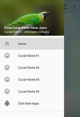 Emulate Android APK Kicau Cucak Rante Gacor Pikat Emulate Android APK Kicau Cucak Rante Gacor Pikat