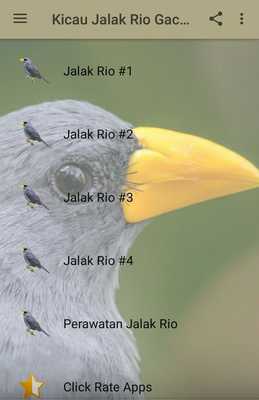 Emulate Android APK Kicau Jalak Rio Gacor Full