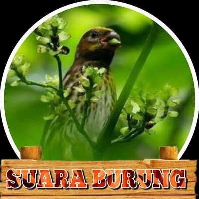 Emulate Android APK Kicau Kenari Gunung/Melayu Emulate Android APK Kicau Kenari Gunung/Melayu