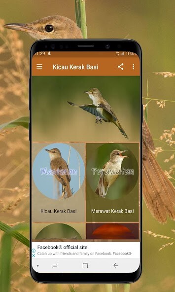 Run android online APK Kicau Kerak Basi Offline from MyAndroid or emulate Kicau Kerak Basi Offline using MyAndroid
