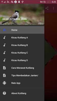 Emulate Android APK Kicau Kutilang Jawa Emulate Android APK Kicau Kutilang Jawa