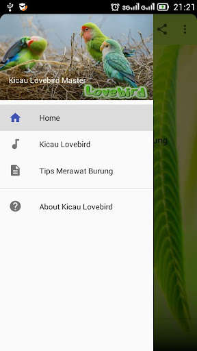 Run android online APK Kicau Lovebird Master from MyAndroid or emulate Kicau Lovebird Master using MyAndroid