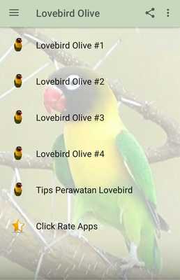 Emulate Android APK Kicau Lovebird Olive Gacor