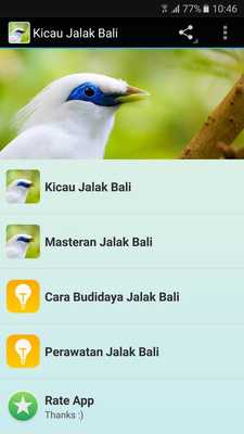Emulate Android APK Kicau Master Jalak Bali Gacor Emulate Android APK Kicau Master Jalak Bali Gacor
