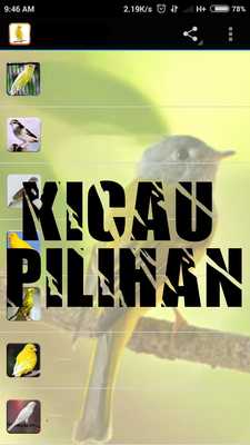 Emulate Android APK Kicau Master Pleci Ngalas