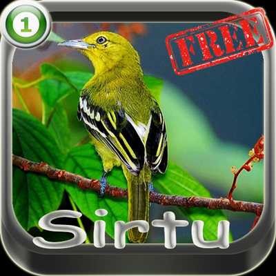 Emulate Android APK kicau master sirtu Emulate Android APK kicau master sirtu