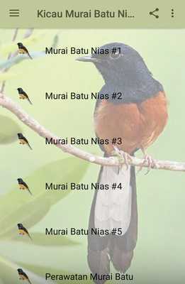 Emulate Android APK Kicau Murai Batu Nias