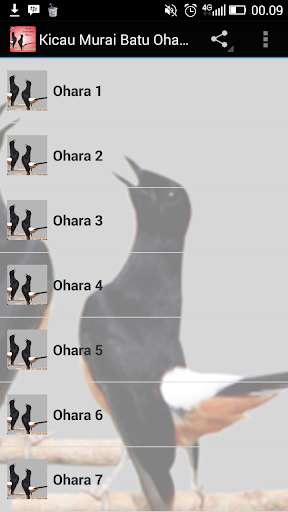 Emulate Android APK Kicau Murai Batu Ohara Emulate Android APK Kicau Murai Batu Ohara