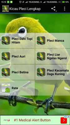 Emulate Android APK Kicau Pleci Lengkap Emulate Android APK Kicau Pleci Lengkap