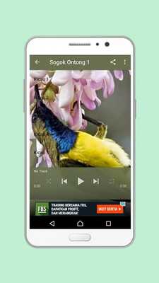 Emulate Android APK Kicau Sogok Ontong Mp3