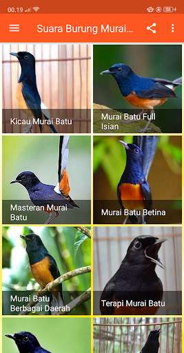 Run android online APK Kicau Suara Burung Murai Batu MP3 Offline from MyAndroid or emulate Kicau Suara Burung Murai Batu MP3 Offline using MyAndroid Run android online APK Kicau Suara Burung Murai Batu MP3 Offline from MyAndroid or emulate Kicau Suara Burung Murai Batu MP3 Offline using MyAndroid