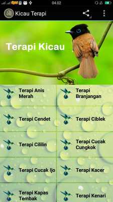 Emulate Android APK Kicau Terapi Lengkap