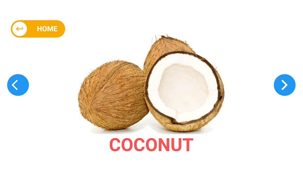 Run android online APK Kickstart - Kids Flashcards from MyAndroid or emulate Kickstart - Kids Flashcards using MyAndroid Run android online APK Kickstart - Kids Flashcards from MyAndroid or emulate Kickstart - Kids Flashcards using MyAndroid