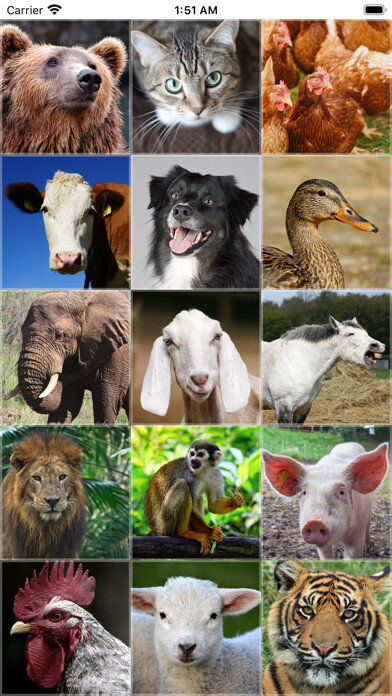 Emulate iPhone app Kid-Friendly Animal Sounds using MyAndroid