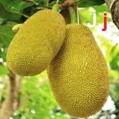 Emulate Android APK Kids Word Learner