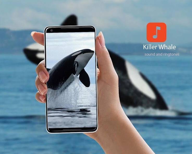 Run android online APK Killer Whale Sounds from MyAndroid or emulate Killer Whale Sounds using MyAndroid Run android online APK Killer Whale Sounds from MyAndroid or emulate Killer Whale Sounds using MyAndroid