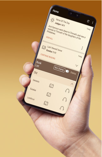 Run android online APK King James Bible On Audio Bibil Study Bibles KJV from MyAndroid or emulate King James Bible On Audio Bibil Study Bibles KJV using MyAndroid