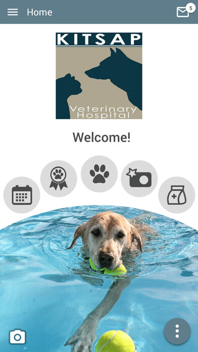 Run android online APK Kitsap Vet from MyAndroid or emulate Kitsap Vet using MyAndroid Run android online APK Kitsap Vet from MyAndroid or emulate Kitsap Vet using MyAndroid