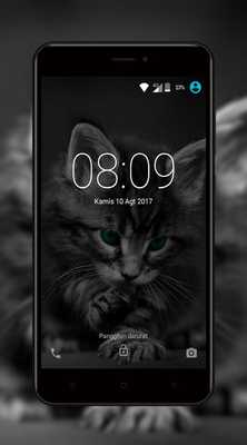 Emulate Android APK Kitten and Cat Wallpaper HD