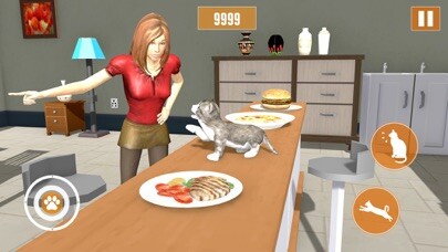 Emulate iPhone app Kitten Cat Simulator Games 3D using MyAndroid