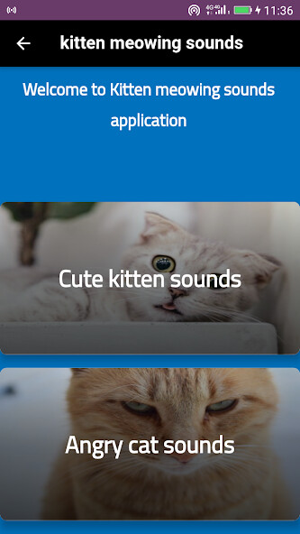 Run android online APK Kitten meowing sounds Cat meow from MyAndroid or emulate Kitten meowing sounds Cat meow using MyAndroid Run android online APK Kitten meowing sounds Cat meow from MyAndroid or emulate Kitten meowing sounds Cat meow using MyAndroid