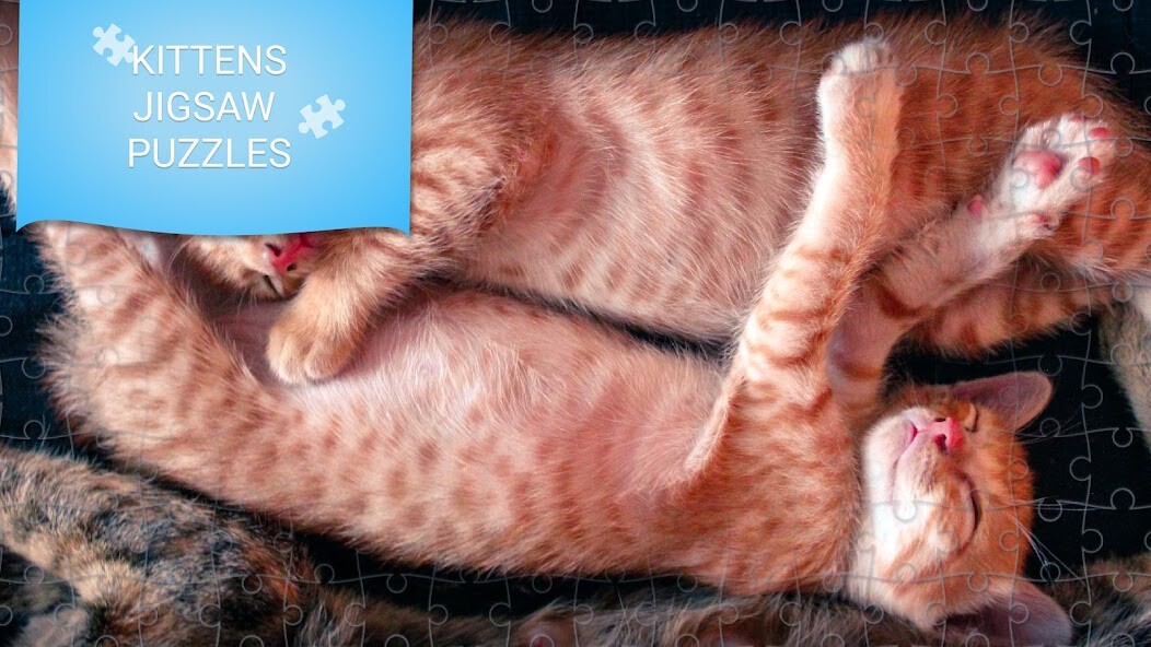 Run android online APK Kittens jigsaw puzzles games from MyAndroid or emulate Kittens jigsaw puzzles games using MyAndroid